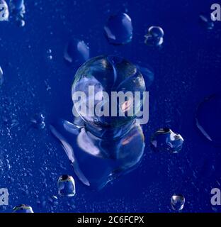 Blue accent colour, single glass marble and water droplets on blue, Stock Photo