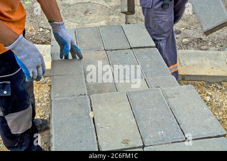 The master is laying new concrete bricks for the sidewalk on the pile. The bricks have been prepared for the laying of a new footpath. Stock Photo