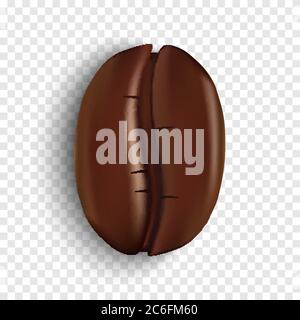 Realistic coffee bean on transparent background, vector illustration Stock Vector