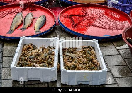 Crayfishes in boxes are ready for sale. They are hunted from Ulubat Lake. Stock Photo