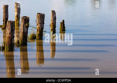 Abstract image of shadows cast by old wooden pilings on the surface of water in Steveston British Columbia Canada Stock Photo