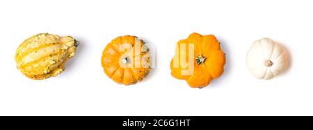 Line, border with decorative mini pumpkins isolated on white background, top view Stock Photo
