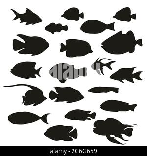 Big set of tropical fishes silhouettes isolated on white background. Vector illustration. Stock Vector