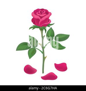 Red beautiful rose with falling petals isolated on white background. Vector illustration. Stock Vector