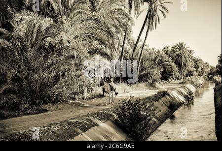Nile River Egypt Farm Farmer agriculture field old village on the nile ...