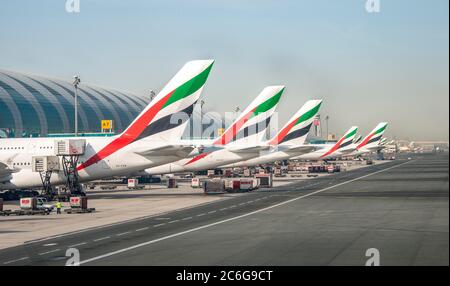 Aircraft tail units of several Airbus A380 of the airline Emirates, aircraft lined up at the terminal, Dubai Airport, Dubai, United Arab Emirates Stock Photo