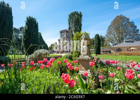 Larnach Castle, park and castle with tulips, Dunedin, Otago Peninsula, South Island, New Zealand Stock Photo