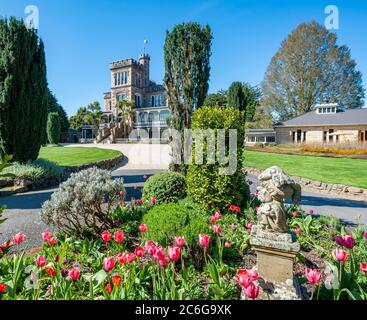 Larnach Castle, park and castle with tulips, Dunedin, Otago Peninsula, South Island, New Zealand Stock Photo