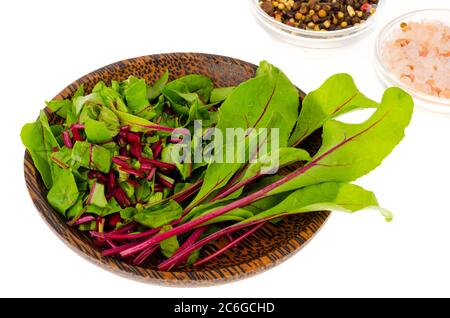 Microgreen. Red beetroot sprouts for cooking vegetarian dishes. Stock Photo