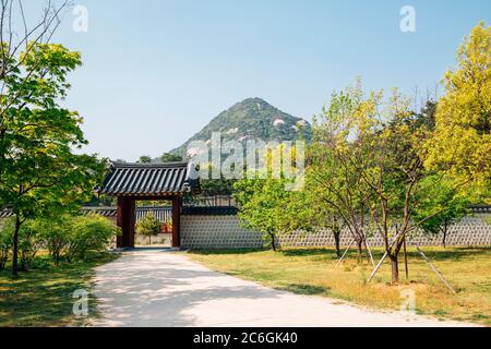 Gyeongbokgung Palace at summer in Seoul, Korea Stock Photo