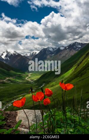 A wonderful scenery along the Duku Highway, which is praised as the most beautiful highway, northwest China's Xinjiang Uyghur Autonomous Region, 13 Ju Stock Photo