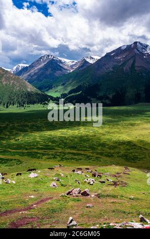 A wonderful scenery along the Duku Highway, which is praised as the most beautiful highway, northwest China's Xinjiang Uyghur Autonomous Region, 13 Ju Stock Photo