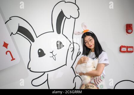 --FILE--Customers play and take photos with rabbit at a caf¨¦ which is characterized by rabbit interaction and where customers can have afternoon tea, Stock Photo