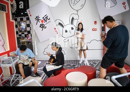 --FILE--Customers play and take photos with rabbit at a caf¨¦ which is characterized by rabbit interaction and where customers can have afternoon tea, Stock Photo