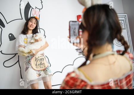 --FILE--Customers play and take photos with rabbit at a caf¨¦ which is characterized by rabbit interaction and where customers can have afternoon tea, Stock Photo