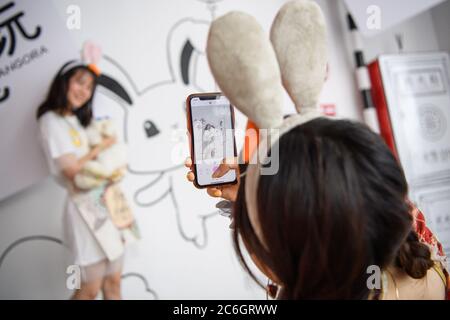 --FILE--Customers play and take photos with rabbit at a caf¨¦ which is characterized by rabbit interaction and where customers can have afternoon tea, Stock Photo