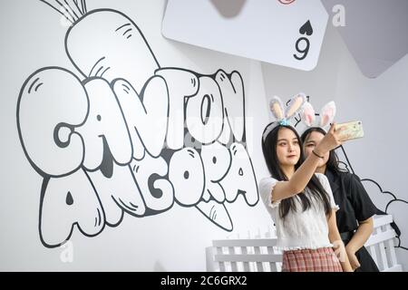 --FILE--Customers play and take photos with rabbit at a caf¨¦ which is characterized by rabbit interaction and where customers can have afternoon tea, Stock Photo