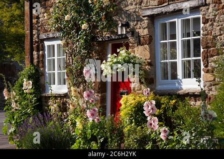 Village Cottage front with flowers and hanging basket by front door,Steeple aston,Oxfordshire,England Stock Photo
