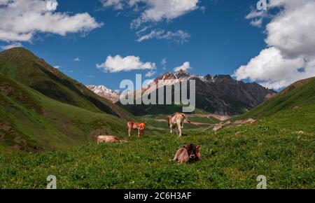 A wonderful scenery along the Duku Highway, which is praised as the most beautiful highway, northwest China's Xinjiang Uyghur Autonomous Region, 13 Ju Stock Photo