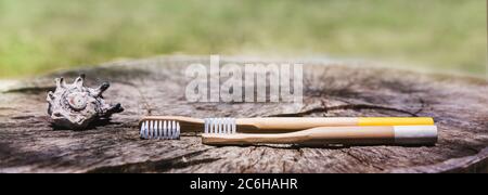Two white and yellow eco friendly bamboo wooden toothbrushes on wooden background with shell. Plastic free sustainable lifestyle symbol Stock Photo