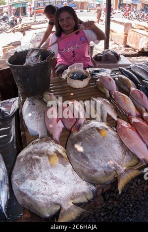 Woman selling fish, Market, Kalabahi, Alor, Indonesia Stock Photo