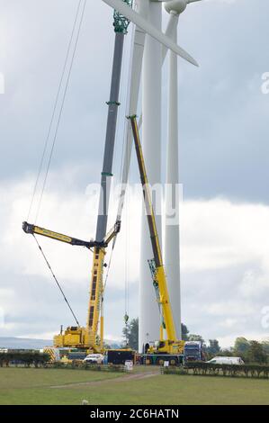 Larkhall, Scotland, UK. 10th July, 2020. Pictured: A huge wind turbine stands a few hundred feet tall with a massive industrial crane with an extension truss on the end to give extra height stands next to the turbine holding the blade structure in place. Green energy is is big business, and if the UK is to archive its targets for renewable energy then more wind turbines onshore and offshore need to be built. Credit: Colin Fisher/Alamy Live News Stock Photo