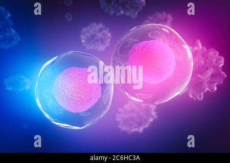 Body cells under a microscope. A good illustration as a representation of research of stem cells, cellular therapy and regeneration and many other con Stock Photo