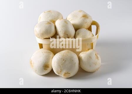 White Mushrooms champignons in wooden basket on a light background. Close up. Packed champignons to basket. Stock Photo