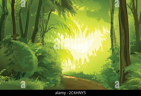 Detailed forest landscape. Road. Vector background image. Beautiful summer or spring scenery, european trees, tropical plants jungle. Detail Stock Vector