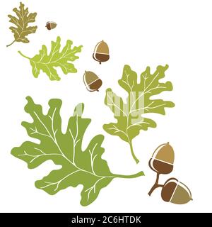 Oak leaves and acorns motif. EPS10 vector format with space for your text. Stock Vector