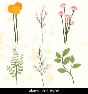 Contemporary set with flowers and leaf branch. Cherry blossom, green leaves branches, yellow dandelion vector template. Stock Vector