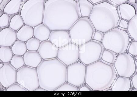 Macro close up of soap bubbles look like scienctific image of cell and cell membrane Stock Photo