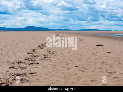 East Lothian, Scotland, United Kingdom, 10th July 2020. UK Weather: sunshine on Firth of Forth coast. A warm and dry sunny day with large puffy clouds in the sky. Footprints in the sand on the beach at low tide stretch out towards the Edinburgh skyline Stock Photo