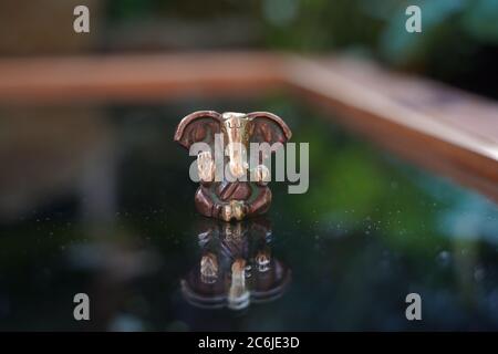 Ganesha deity in bronze on glas reflecting Stock Photo