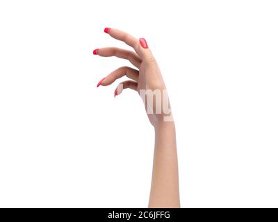 Collection of hand holding blank paper isolated. On white background ,  #Affiliate, #holding, #blank,… | Hand holding card, Hand drawing reference,  How to draw hands