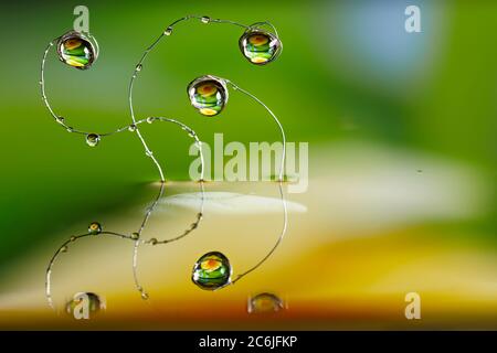 Water drops hang on bent thin metal wires sticking out of the water ...