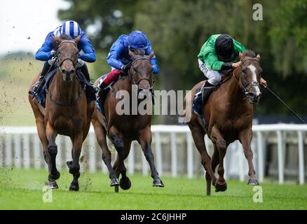 Nazeef and Jim Crowley (left) beats Billesdon Brook (right) and Terebellum in the Tattersalls Falmouth Stakes at Newmarket Racecourse. Stock Photo