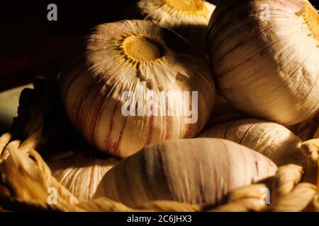 Macro close up of isoalted raw solo garlic bulbs in wicker basket illuminated by light (focus on center) Stock Photo