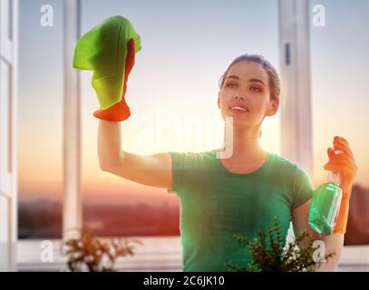 beautiful girl cleans the windows Stock Photo