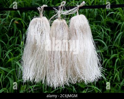 Odapoovu or bamboo flower, made of beaten bamboo,a  special offering at Kottiyoor temple. Kottiyoor Temple is a prominent Shiva temple in Kannur Disri Stock Photo