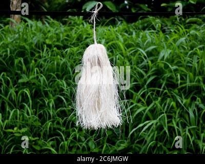 Odapoovu or bamboo flower, made of beaten bamboo,a  special offering at Kottiyoor temple. Kottiyoor Temple is a prominent Shiva temple in Kannur Disri Stock Photo