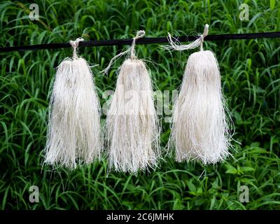 Odapoovu or bamboo flower, made of beaten bamboo,a  special offering at Kottiyoor temple. Kottiyoor Temple is a prominent Shiva temple in Kannur Disri Stock Photo