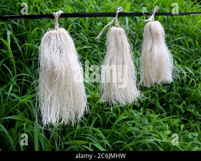 Odapoovu or bamboo flower, made of beaten bamboo,a  special offering at Kottiyoor temple. Kottiyoor Temple is a prominent Shiva temple in Kannur Disri Stock Photo