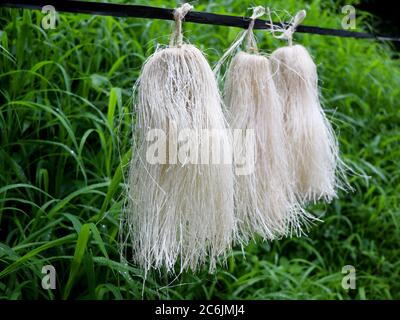 Odapoovu or bamboo flower, made of beaten bamboo,a  special offering at Kottiyoor temple. Kottiyoor Temple is a prominent Shiva temple in Kannur Disri Stock Photo