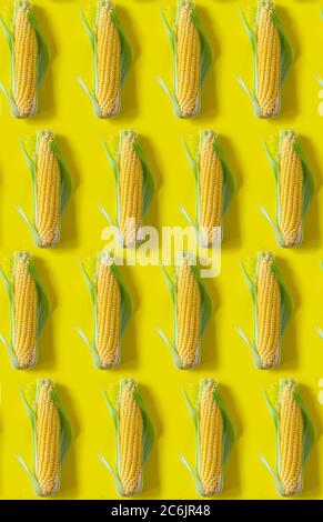 Seamless pattern. ear of fresh corn on yellow background Stock Photo