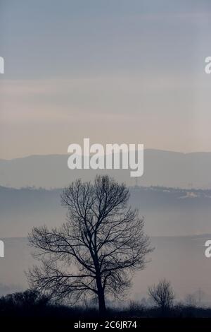 Hazy day afternoon vertical landscape with lonely leafless tree, travel photography at the Rose Valley, Central Bulgaria. Slopes of Sredna Gora mountain in background, pastel colors Stock Photo