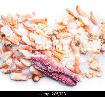 assortment of frozen seafood on ice cubes, shrimps, octopus, Babylonia areolata shellfish snails, langoustines, rich in iodine, antioxidants and vitam Stock Photo