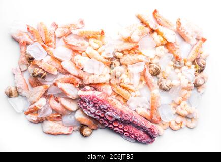 assortment of frozen seafood on ice cubes, shrimps, octopus, Babylonia areolata shellfish snails, langoustines, rich in iodine, antioxidants and vitam Stock Photo