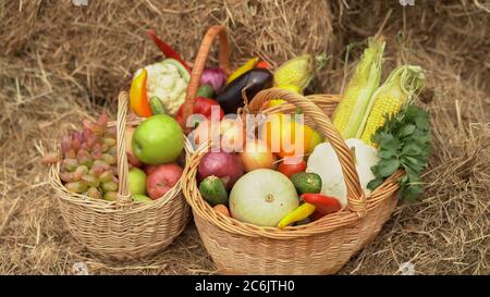 Full Baskets with fruits and vegetables. Summer Harvest concept. Apples, grapes, cauliflower, carrots, eggplant, peppers, onions, cucumbers, corn and Stock Photo