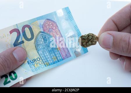 Cannabis flower head. Herb called marijuana that is smoked as medical therapy. Twenty-euro bill, concept of exchange of money for drugs. Stock Photo